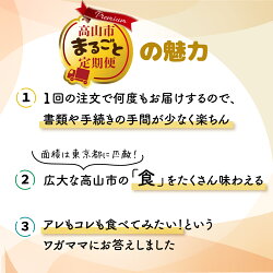 【ふるさと納税】定期便 高山市まるごと定期便 7ヶ月 お届け 肉づくし 牛肉 豚肉 鶏肉 ホルモン ハンバーグ 総菜 ステーキ 人気 お楽しみ TR3223 100000円 10万円･･･ 画像2