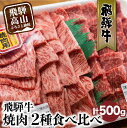 【ふるさと納税】飛騨牛　ロース・もも　焼肉用　セット 500g 牛肉 国産 焼肉 焼き肉 和牛 黒毛和牛 赤身 高級肉 お肉 お取り寄せ ギフト お中元 お歳暮　人気 贈り物　山武商店 TR3047 20000円