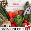 【ふるさと納税】先行予約 飛騨の野菜 6〜7点 セット 飛騨高山産 野菜 夏野菜 秋野菜 おまかせ お取り寄せ 新鮮 産地直送 飛騨産 野菜 夏 夏野菜 秋 秋野菜 バーベキュー サラダ 5000円 BBQ TR3076 5000円･･･