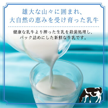 【ふるさと納税】飛騨牛乳 フルーツ牛乳 詰め合わせ パックジュース ギフト 熨斗対応 のし対応 熨斗 のし 飛騨産 飛騨高山 HACCP TR3121