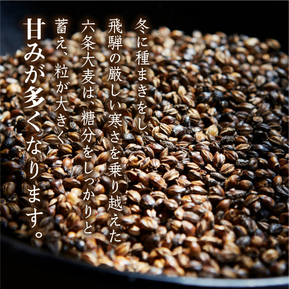 【ふるさと納税】飛騨むぎ茶 16包×4袋 ティーバッグタイプ 飛騨麦茶 麦茶 むぎ茶 煮出し 水出し 六条大麦 砂炙り製法 最上級 国産 国産麦茶 ティーバッグ ティーパック TB 手軽 ノンカフェイン マイボトルにも なべしま銘茶 10000円 TR3160