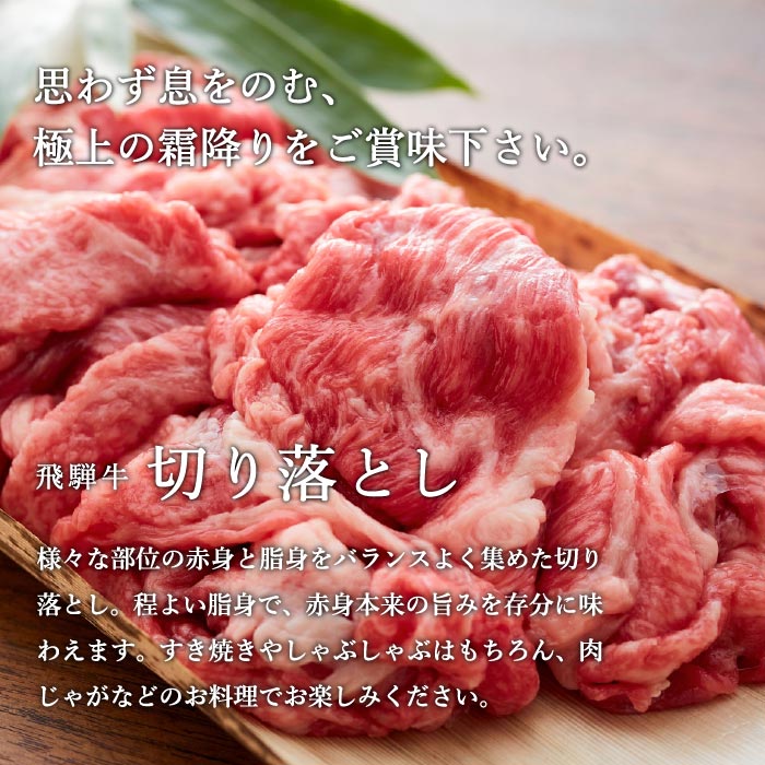 【ふるさと納税】飛騨牛 切り落とし 4等級 800g (4～5人前) 黒毛和牛 霜降り すき焼き しゃぶしゃぶ 肉じゃが 赤身 お取り寄せ 家族 大容量 贈り物・ギフトにも (4等級以上・鮮度高い冷蔵) 送料無料 G12-01【最長3か月以内に配送】