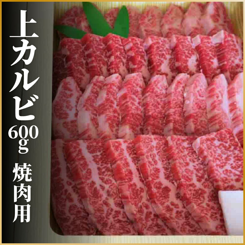 【ふるさと納税】飛騨牛 上カルビ 焼肉用 600g 牛肉 和牛 肉 お中元 バーベキューに［Q113］20000円 2万円