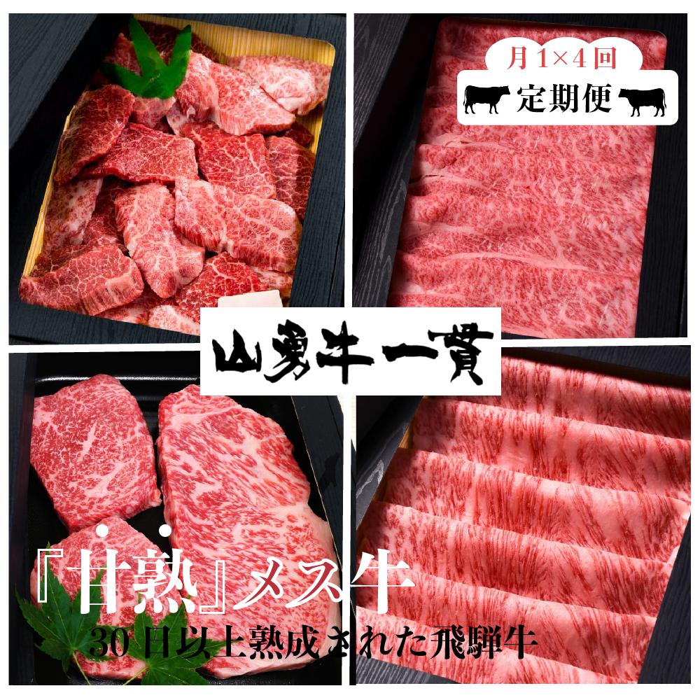 [発送時期が選べる]飛騨牛 山勇牛 定期便 4回 4か月 or 1年間 焼肉 ステーキ すき焼き しゃぶしゃぶ サーロイン 赤身ステーキ 定期便 お楽しみ[Q124]