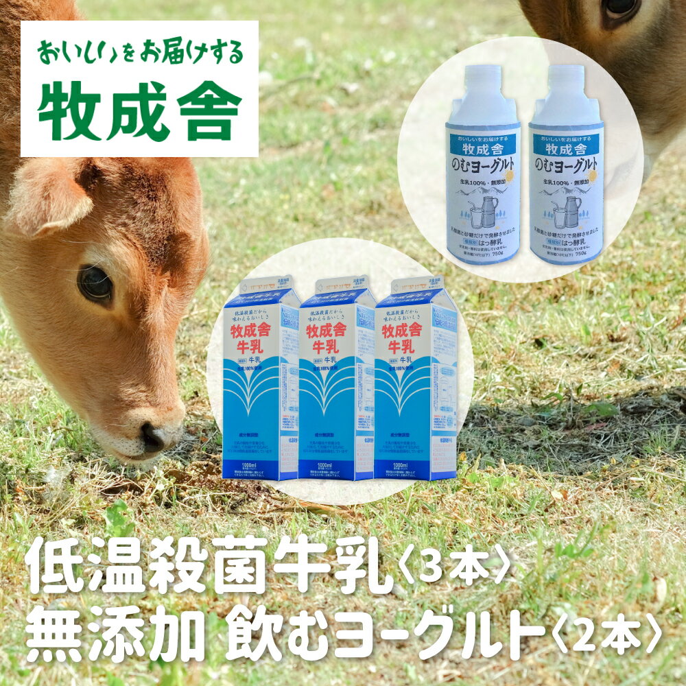 【ふるさと納税】牧成舎 低温殺菌牛乳 3本 無添加 飲むヨーグルト 2本 飛騨産生乳100%使用 [A0104]