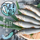 【ふるさと納税】飛騨のあばれ鮎 天然鮎 中サイズ 5尾 天然...