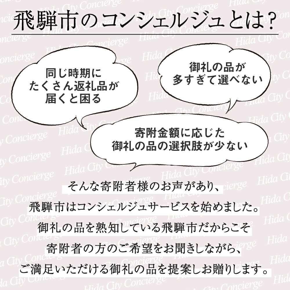 【ふるさと納税】≪飛騨市のコンシェルジュ≫寄附...の紹介画像2