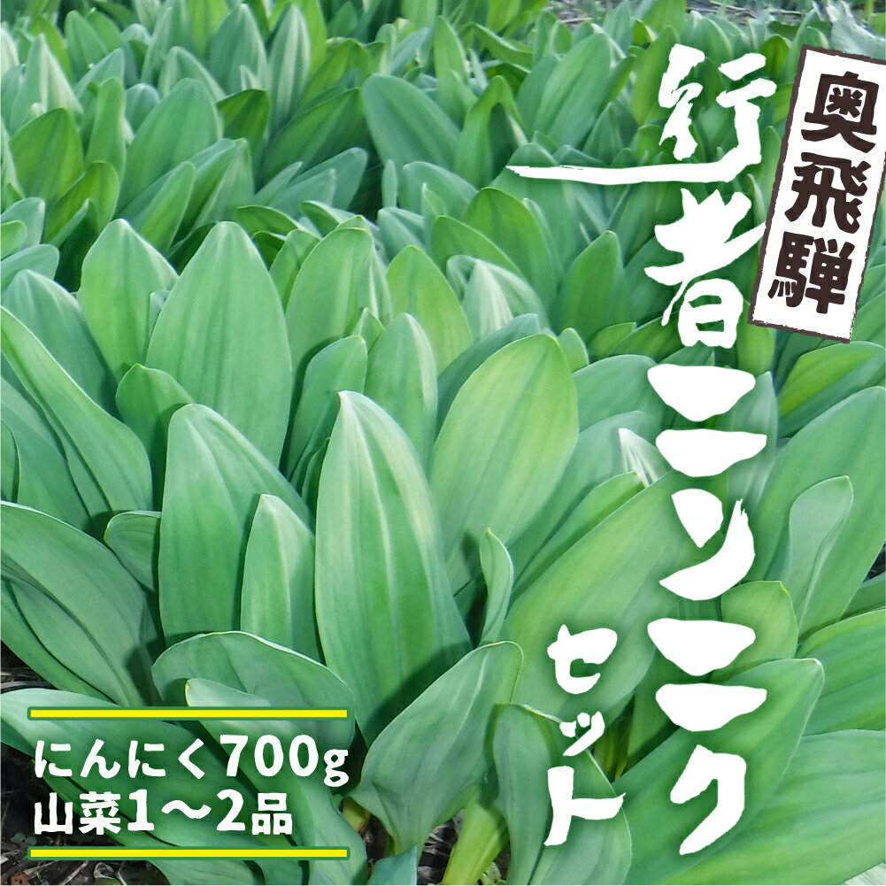 21位! 口コミ数「3件」評価「5」《先行予約》奥飛騨産とれたて新鮮 生行者ニンニク 700g 行者ニンニク 行者にんにく 醤油漬け[Q655x]【4月下旬～5月上旬発送】12･･･ 