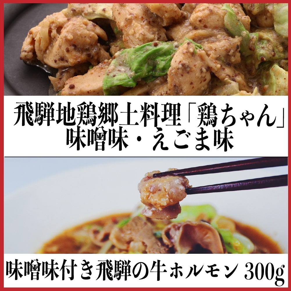 【ふるさと納税】飛騨地鶏けいちゃん 2種 牛ホルモン 牛・鶏 セット 味付き 肉 神岡 飛騨 けいちゃん とんちゃん ホルモン モツ ひだ小僧[Q180]10000円 1万円