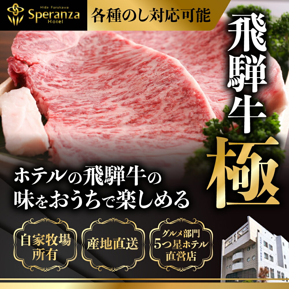 【ふるさと納税】飛騨牛 肩ロースしゃぶしゃぶ用 500g 飛騨市推奨特産品　飛騨牛 しゃぶしゃぶ プロ厳選 牛肉 和牛 肉 国産 [D0016]30000円 3万円