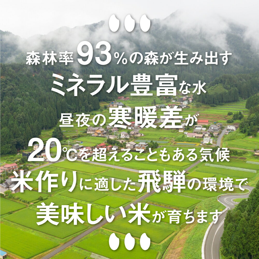 【ふるさと納税】《先行予約》 令和4年産 こしひかり 10kg 金賞受賞農家 みつわ農園 コシヒカリ 米 新米 ごはん お米［Q580］14000円