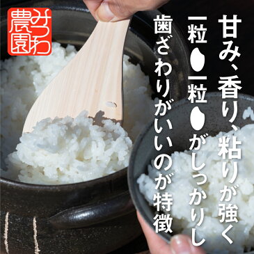 【ふるさと納税】≪事前予約≫令和2年産 新米 定期便 こしひかり 10kg×10ヵ月　金賞受賞農家の飛騨産コシヒカリ みつわ農園 [Q261]