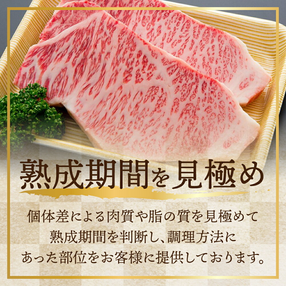 【ふるさと納税】飛騨牛 サーロインステーキ 5等級 A5 300g×4枚（真空パック） 肉の沖村 コロナ 応援 観光地応援 父の日 肉 和牛[K0080]100000円 10万円