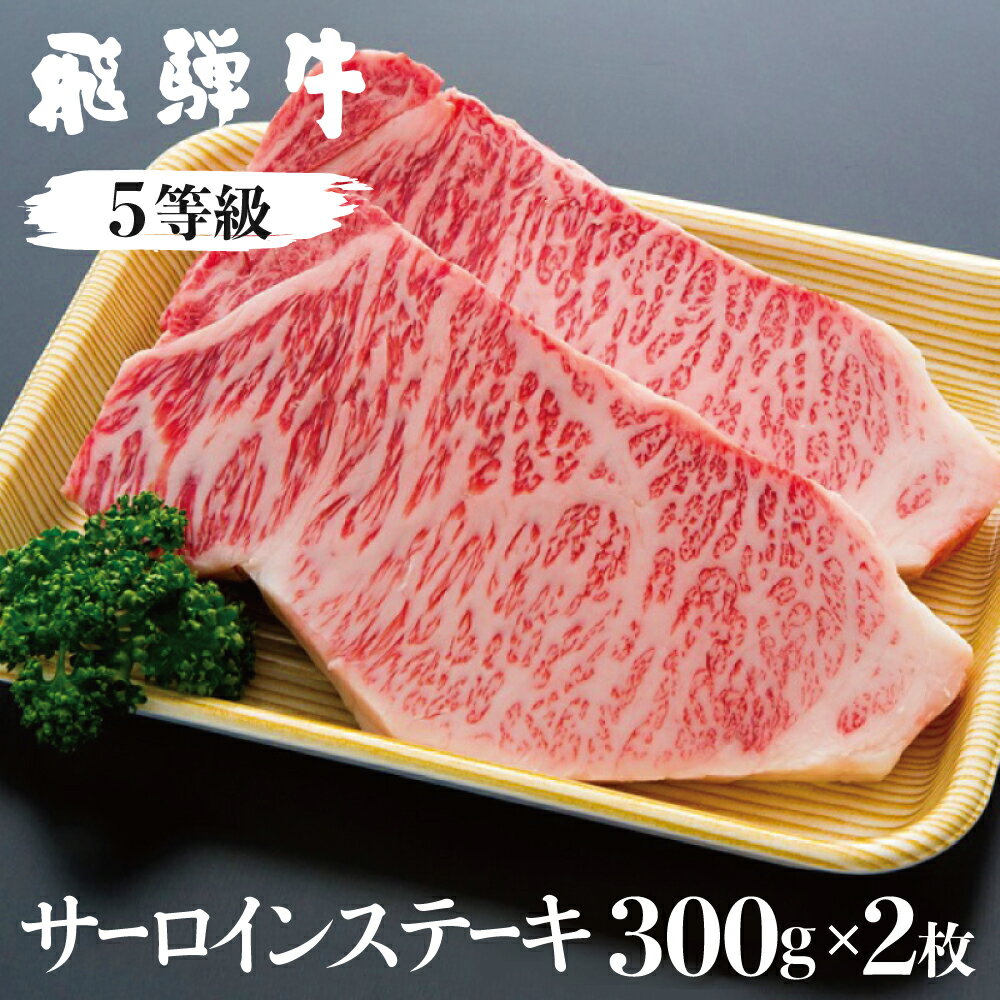 飛騨牛 サーロインステーキ 5等級 A5 計600g(2枚)（真空パック） 肉の沖村 和牛 肉 [F0044]