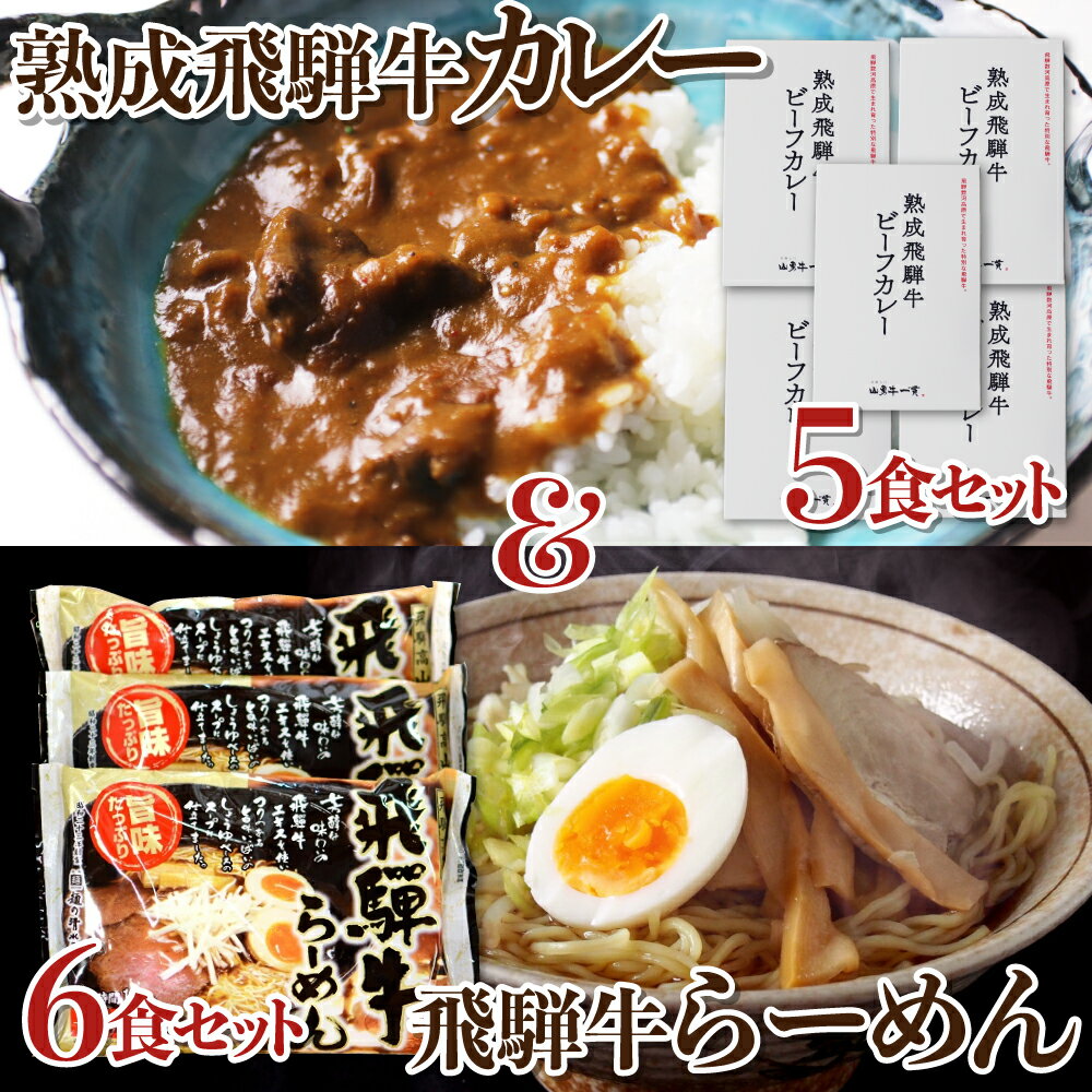 熟成ビーフカレー5食&飛騨牛ラーメン6食セット 牛肉 和牛 肉 熨斗掛け[C0023]24000円