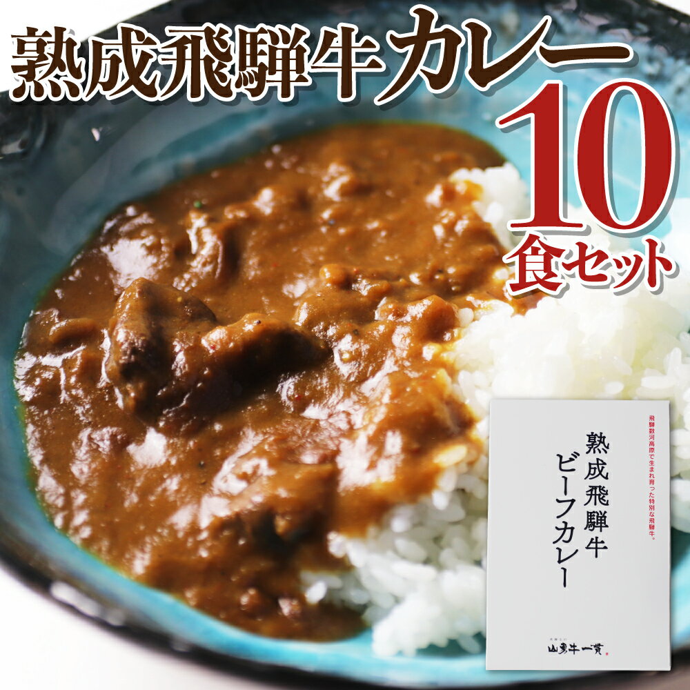 【ふるさと納税】熟成飛騨牛カレー　10食セット コロナ 事業者応援 巣ごもり 観光地応援 肉 熨斗掛け［D0034］36000円