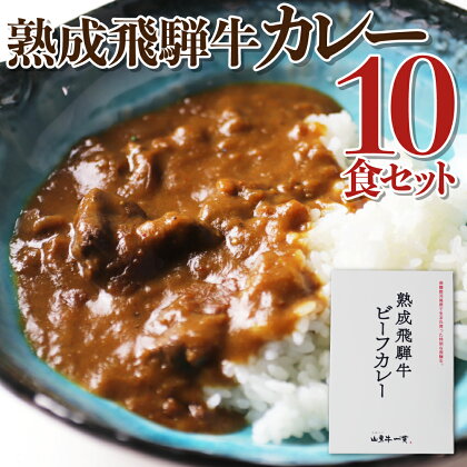 熟成飛騨牛カレー　10食セット コロナ 事業者応援 巣ごもり 観光地応援 肉 熨斗掛け［D0034］36000円