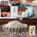 【ふるさと納税】飛騨の米2kg+飛騨牛カレー14食 さくら物