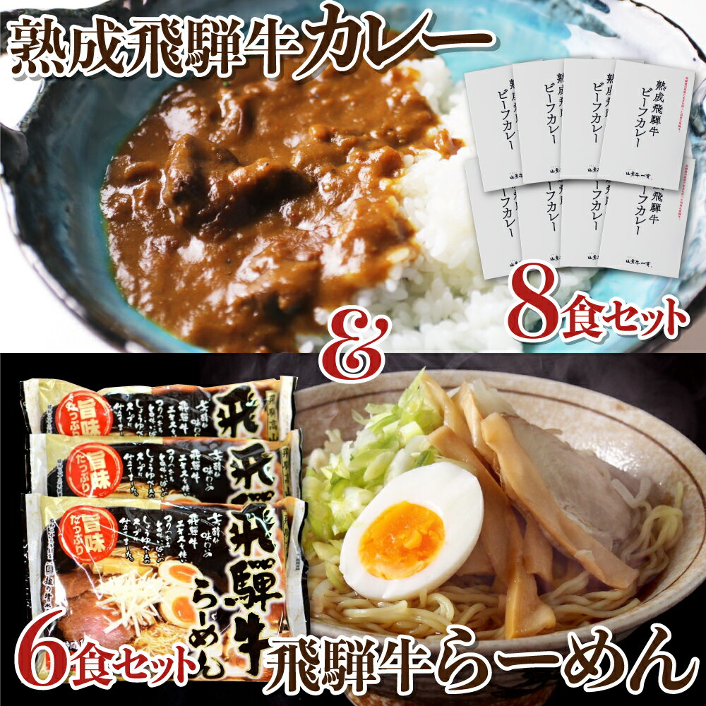 熟成ビーフカレー8食&飛騨牛ラーメン6食セット 肉 熨斗掛け[D0039]36000円