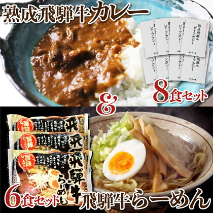 熟成ビーフカレー8食＆飛騨牛ラーメン6食セット 肉 熨斗掛け［D0039］36000円