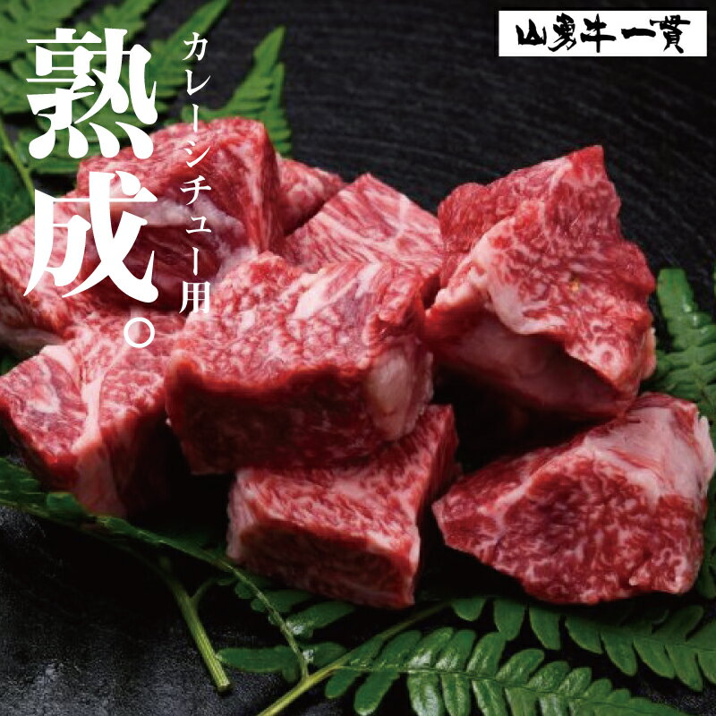 【ふるさと納税】飛騨牛 『山勇牛』すね肉等 カレーシチュー用 600g 角切り牛肉　30日以上熟成/A4・A5ランク飛騨牛 熟成肉 牛肉 和牛 肉 カレー用　シチュー用　角切り　煮込み用［B0061］