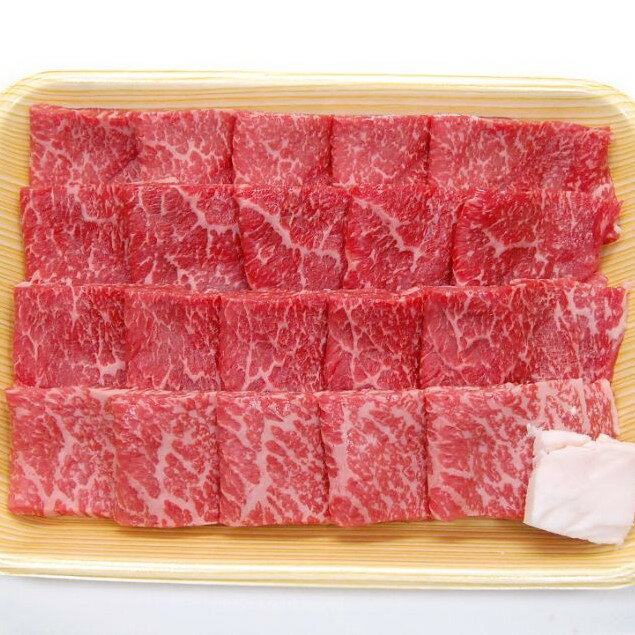 飛騨市産 5等級飛騨牛 焼肉用 500g ギフト 熨斗掛け 贈答 [Q353]32000円