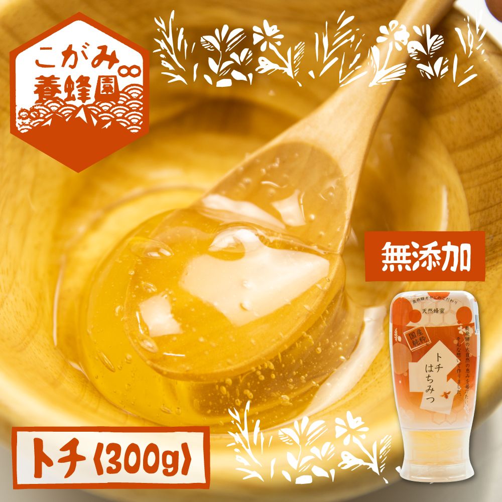 【ふるさと納税】飛騨産 生蜂蜜 トチ蜜 300g 国産無添加 とち蜜 はちみつ ギフト ハニー 非加熱[Q1197]8000円 《hida0307》