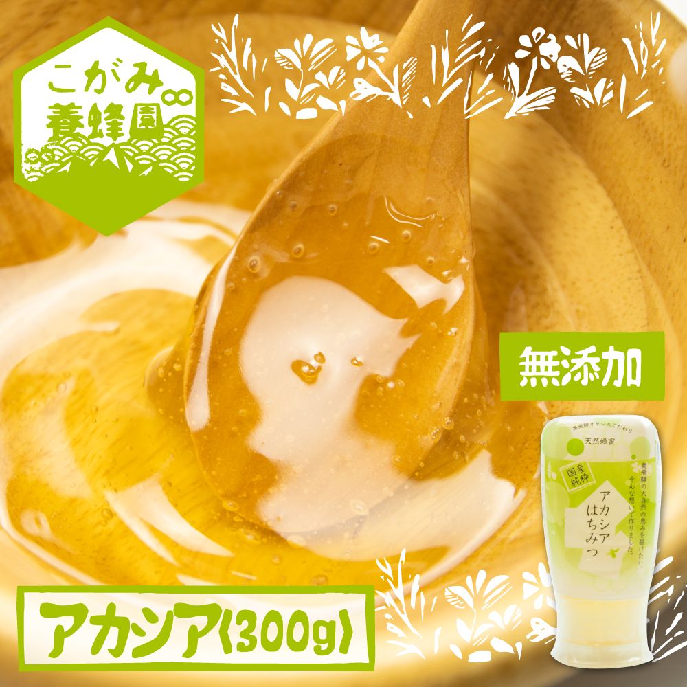 【ふるさと納税】飛騨産 生蜂蜜 アカシア蜜 300g 国産無添加 はちみつ ギフト ハニー 非加熱[Q1199] ...