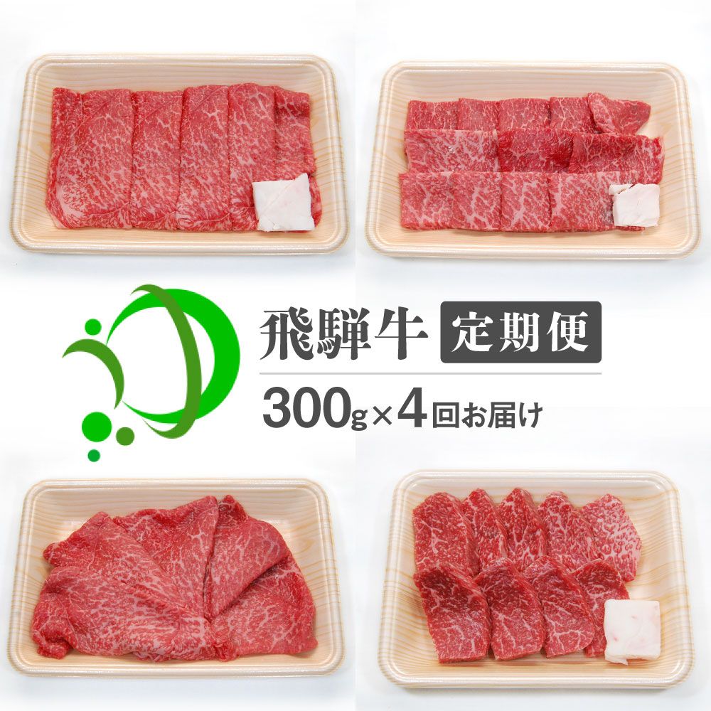 《定期便》飛騨牛 4回お届け 4ヶ月 焼肉 すき焼き しゃぶしゃぶ ミニステーキ 300g 5等級 飛騨市産 定期便 お楽しみ[Q602]