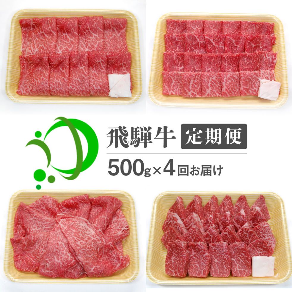 《定期便》飛騨牛 4回お届け 4ヶ月 焼肉 すき焼き しゃぶしゃぶ ミニステーキ 500g 5等級 飛騨市産 定期便 お楽しみ[Q603]