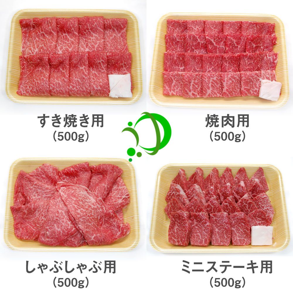 【ふるさと納税】《定期便》飛騨牛 4回お届け 4ヶ月 焼肉 すき焼き しゃぶしゃぶ ミニステーキ 500g 5等級 飛騨市産 定期便 お楽しみ[Q603]