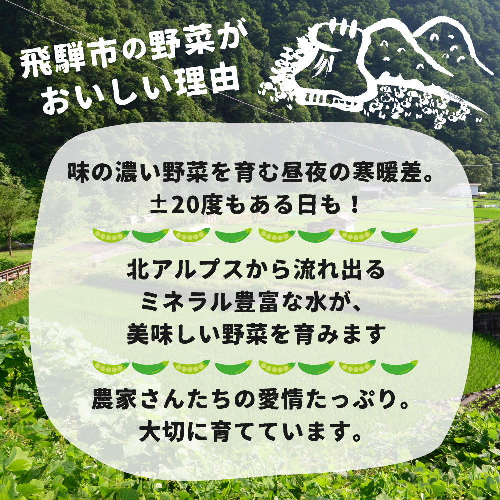 【ふるさと納税】スナップエンドウ 1kg 飛騨産 国産 スナップえんどう 産地直送 野菜 化学肥料不使用栽培【5月下旬～6月下旬発送】[Q1113re]