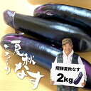 【ふるさと納税】【7月上旬～10月中旬に発送】飛騨 夏秋なす 2kg (8-10本)茄子 ナス 大なす 産地直送 夏野菜 野菜 [Q792w]10000円 1万