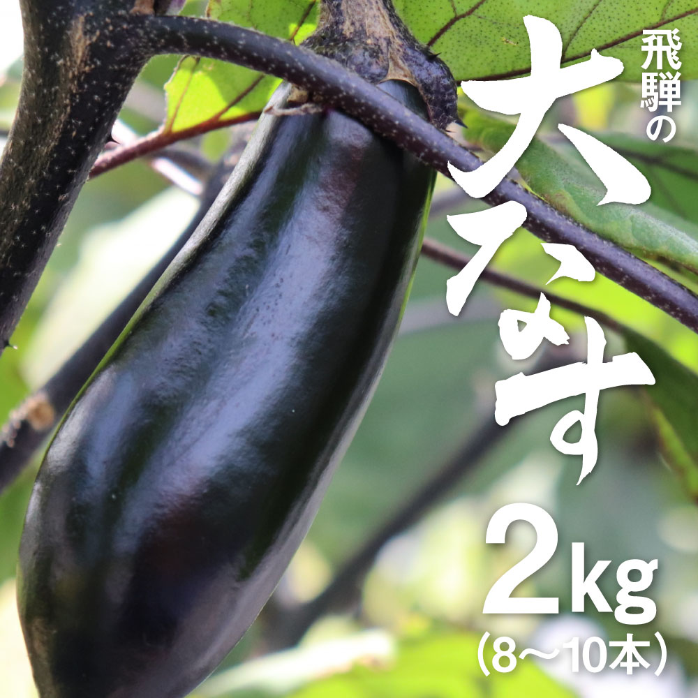 【ふるさと納税】《先行予約》【7月〜10月中旬発送】飛騨の大なす 2kg(8-10本) 茄子 ナス なす 産地直送 夏野菜 野菜 [Q791]5000円 5千円