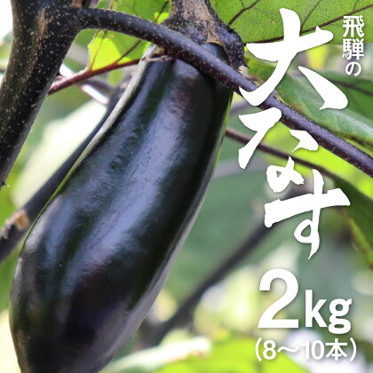 《先行予約》【7月～10月中旬発送】飛騨の大なす 2kg(8-10本) 茄子 ナス なす 産地直送 夏野菜 野菜 [Q791re]《hida0307》