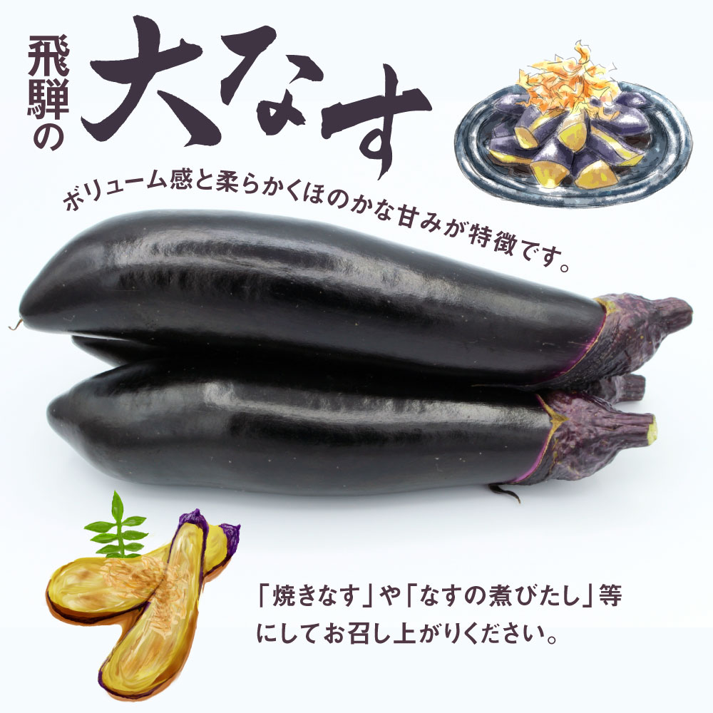 【ふるさと納税】《先行予約》【7月～10月中旬発送】飛騨の大なす 2kg(8-10本) 茄子 ナス なす 産地直送 夏野菜 野菜 [Q791re]《hida0307》