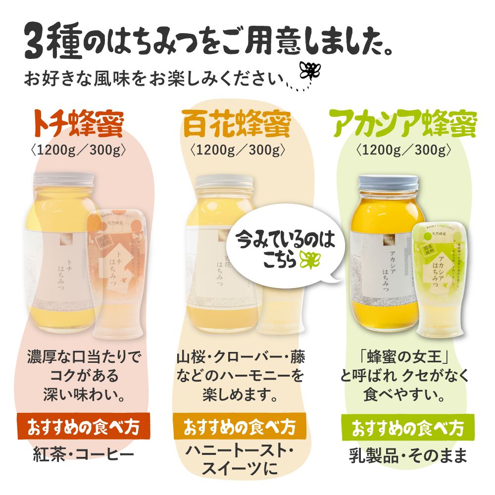 【ふるさと納税】飛騨産 生蜂蜜 アカシア蜜 300g 国産無添加 はちみつ ギフト ハニー 非加熱[Q1199]9000円 《hida0307》