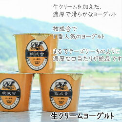 【ふるさと納税】《定期便》牧成舎 ヨーグルト20個セット 3ヶ月定期便 生クリームヨーグルト 季の風 2種類[Q393]21000円 画像2