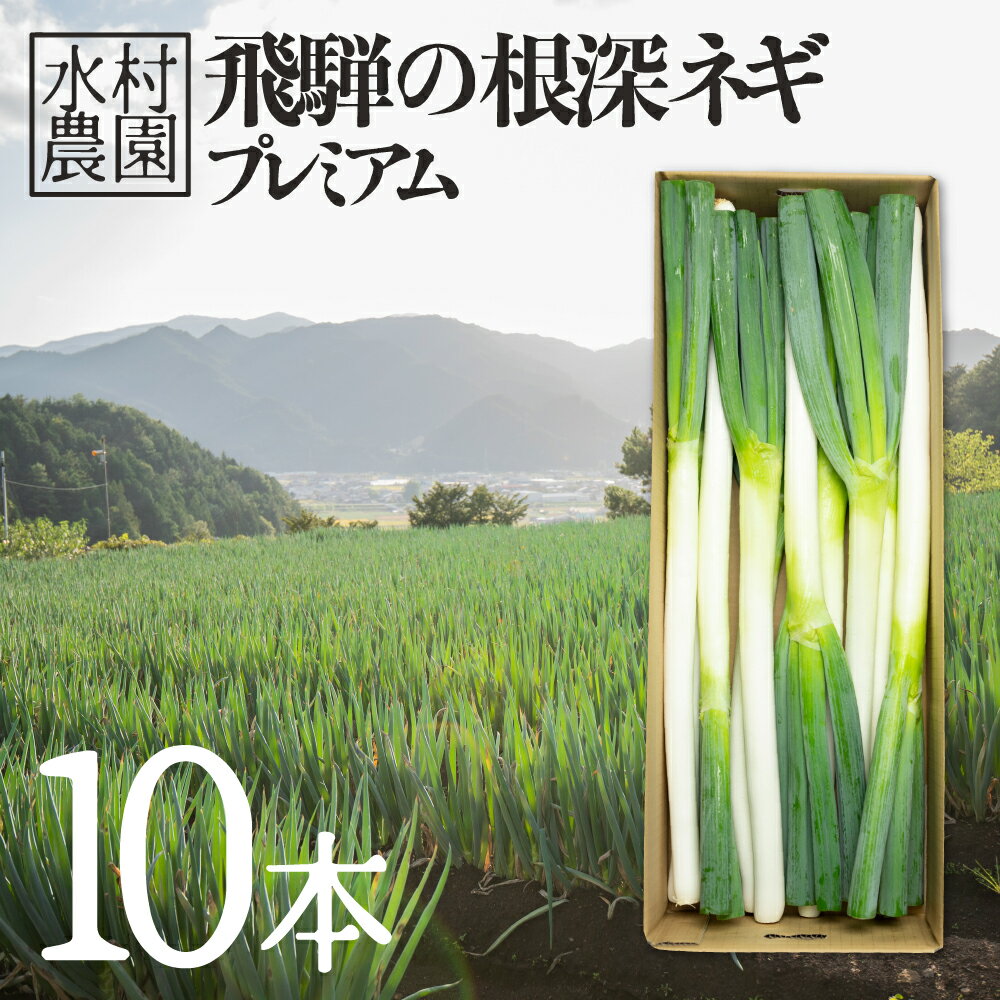 [先行予約]水村農園 飛騨の根深ネギ プレミアム ねぎ 10本 飛騨産野菜 旬の野菜 ネギ 産地直送 鍋[Q331]