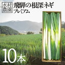 《先行予約》水村農園 飛騨の根深ネギ プレミアム ねぎ 10本 飛騨産野菜 旬の野菜 ネギ 産地直送 鍋[Q331]