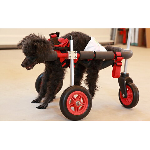 【ふるさと納税】小型犬用三輪車椅子（背丈23〜35cm　体重8キロ以下）　【雑貨・日用品】