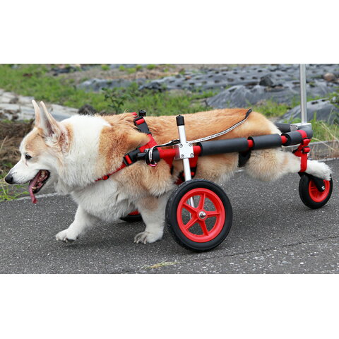 【ふるさと納税】中型犬用三輪車椅子（背丈33〜65cm　体重22キロ以下）　【雑貨・日用品】