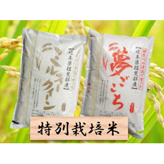 【ふるさと納税】特別栽培米★精米20kg（分搗き可）または玄米22kg【ミルキークイーン・夢ごこち】　【米・お米・ミルキークイーン】　お届け：2020年10月〜
