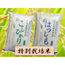 【ふるさと納税】特別栽培米★精米20kg(分搗き可)または玄