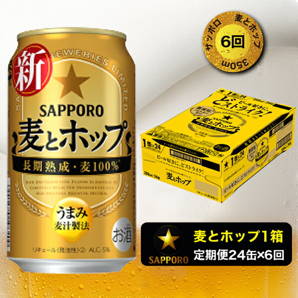 【ふるさと納税】 ビール 父の日 sapporo サッポロビール 焼津 【定期便 6回】 麦とホップ 350ml×1箱(24缶) T0004-1006