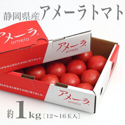 【ふるさと納税】 トマト 野菜 冷蔵 焼津 約1kg アメーラ トマト 高糖度 トマト 産地 直送 化粧箱入 a10-371 画像2