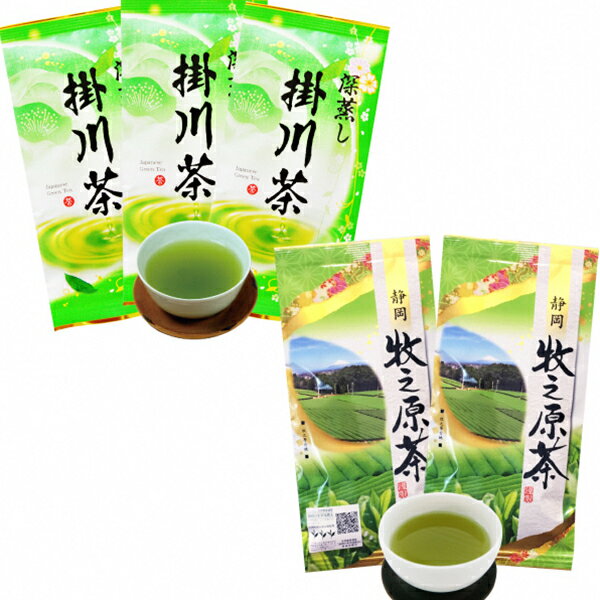 【ふるさと納税】 お茶 緑茶 掛川茶 300g 牧之原茶20