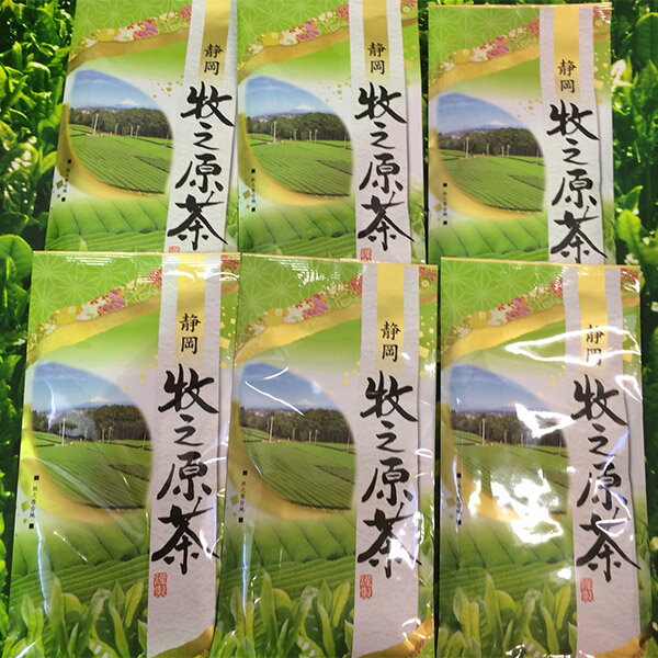 【ふるさと納税】 緑茶 お茶 焼津 茶葉 100g×6本 牧