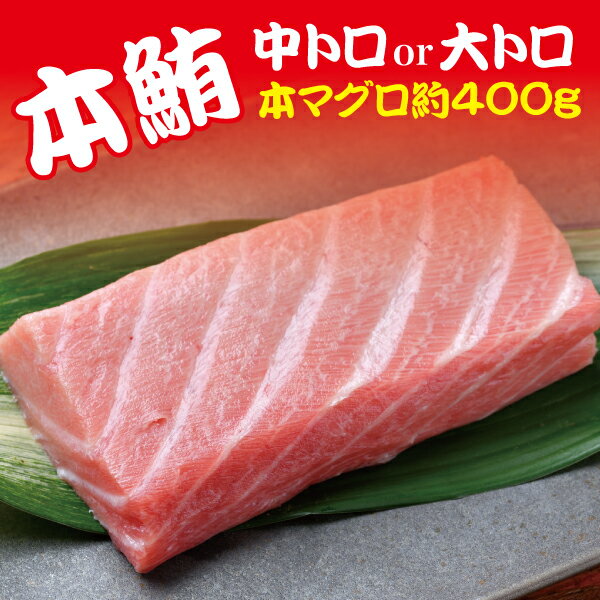 まぐろ 訳あり 本マグロ 天然 中トロ 大トロ 約400g お楽しみ セット 楽天限定 魚 焼津