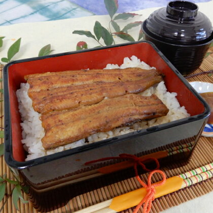 うなぎ 鰻 蒲焼 魚 冷凍 焼津 国産 うなぎ蒲焼き 約100g×3袋 たれ・山椒付き a18-029